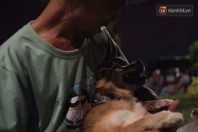 Điều kỳ diệu đã xuất hiện: Chú chó mù trở về bên anh đánh giày câm sau hơn nửa tháng mất tích-10