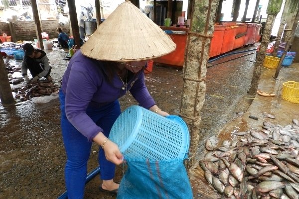 An Giang: Bí ẩn người mua gom vảy cá khắp các chợ-3