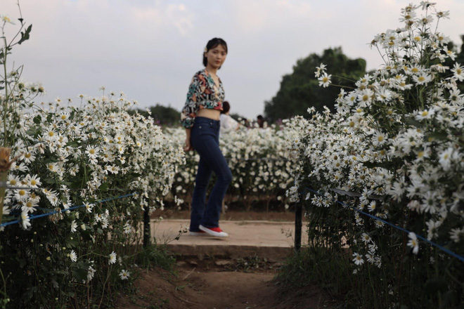 Từ Đà Nẵng ra Hà Nội chụp cúc họa mi, cô gái bàng hoàng khi nhận sản phẩm từ nhiếp ảnh và sự thật khiến tất cả ngã ngửa-6