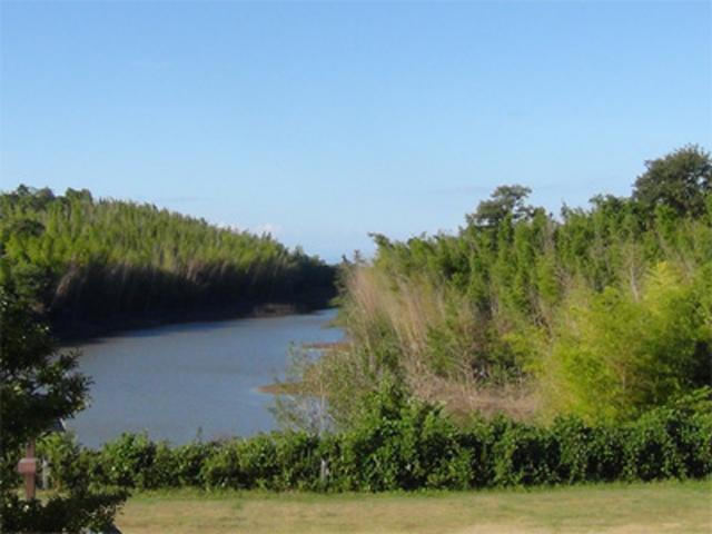 Vụ án ám ảnh nhất Nhật Bản: Bé gái theo mẹ vào rừng đào măng rồi mất tích bí ẩn-3