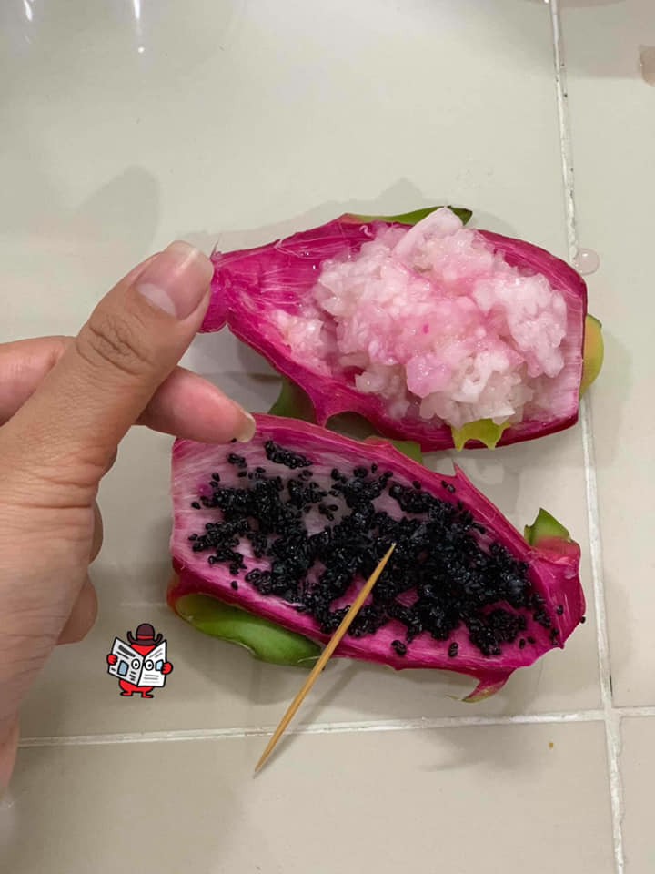 Xôn xao chuyện thanh niên vì chiều người yêu nên đã kỳ công nhặt bằng hết hạt ra khỏi quả thanh long-1