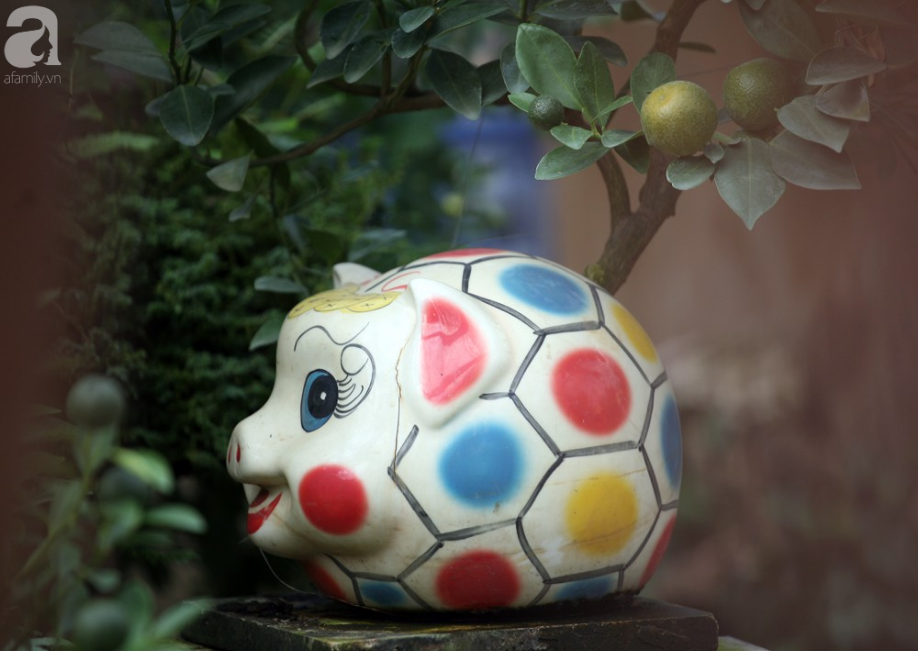 Quất bonsai giá 1,5 triệu đồng trên lưng heo vàng hút khách chơi Tết-3