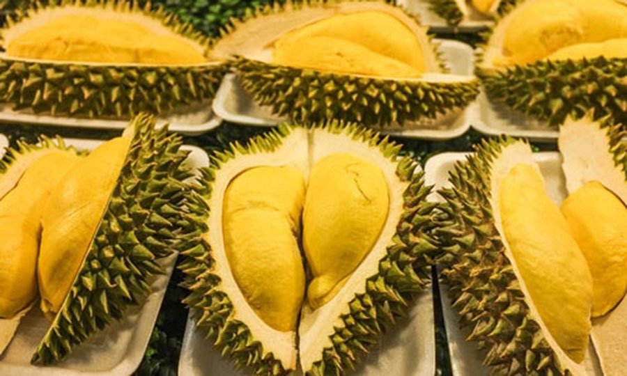 4 món ăn nổi tiếng Việt Nam vào bảo tàng đồ ăn kinh dị thế giới-2