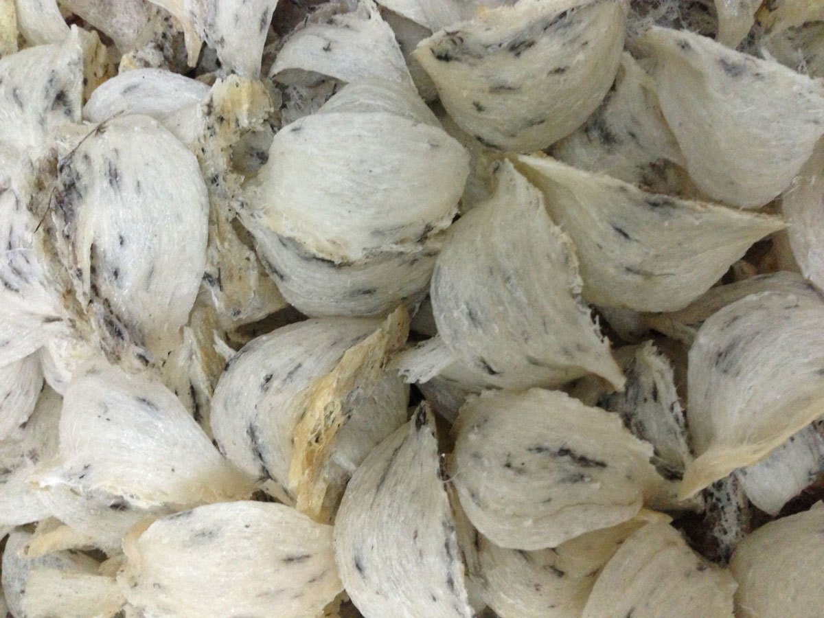 4 món ăn nổi tiếng Việt Nam vào bảo tàng đồ ăn kinh dị thế giới-5