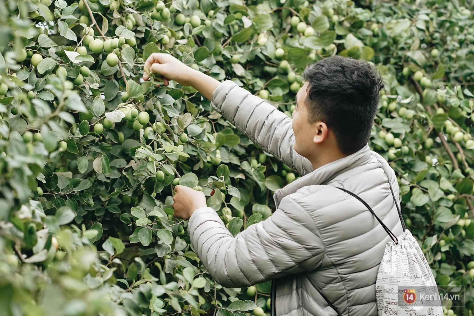 Trường ĐH duy nhất Việt Nam có vườn táo, vườn hoa cải được phép ăn tẹt ga, sống ảo cực chất chỉ với 15 nghìn-4