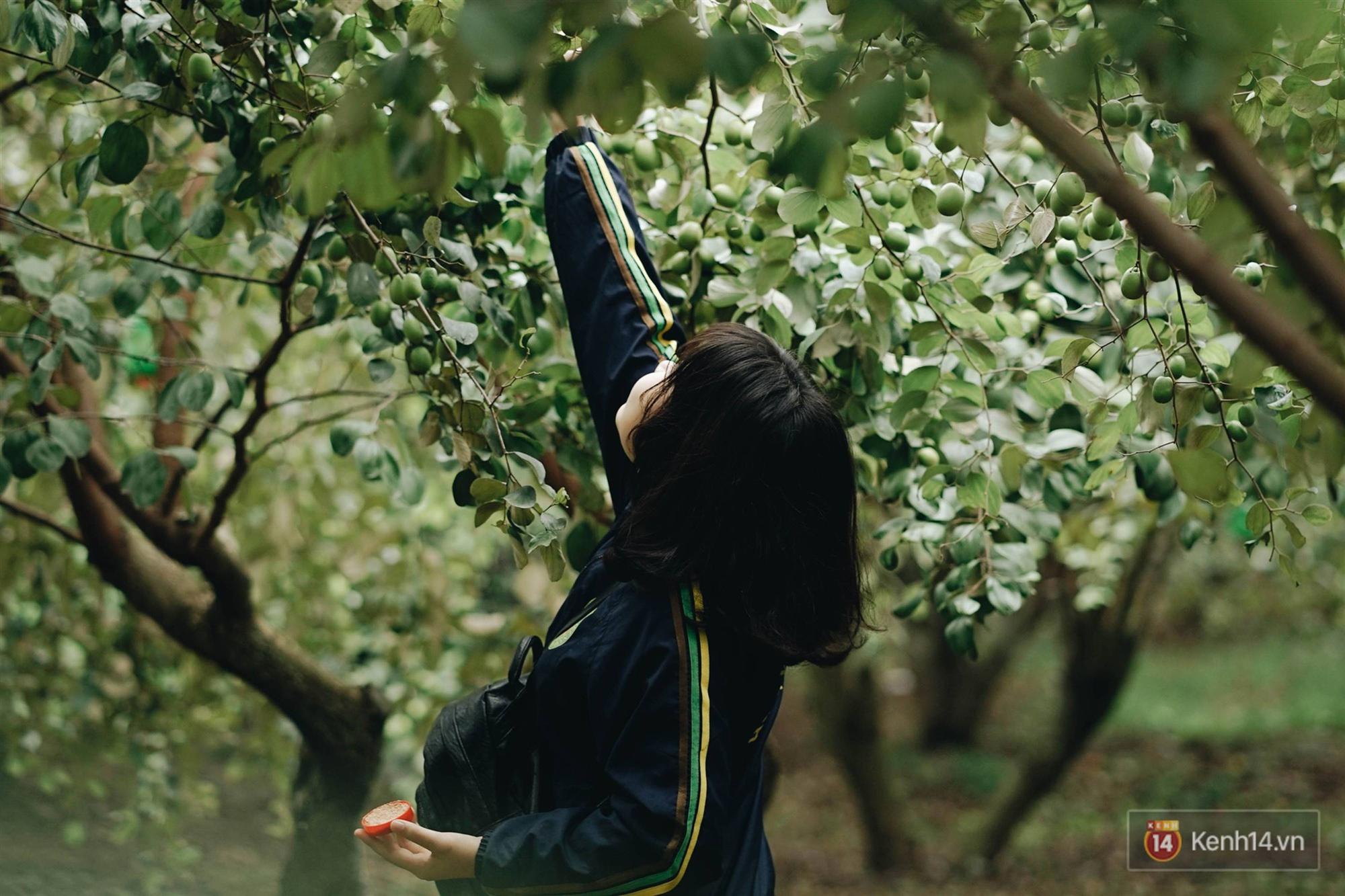 Trường ĐH duy nhất Việt Nam có vườn táo, vườn hoa cải được phép ăn tẹt ga, sống ảo cực chất chỉ với 15 nghìn-6