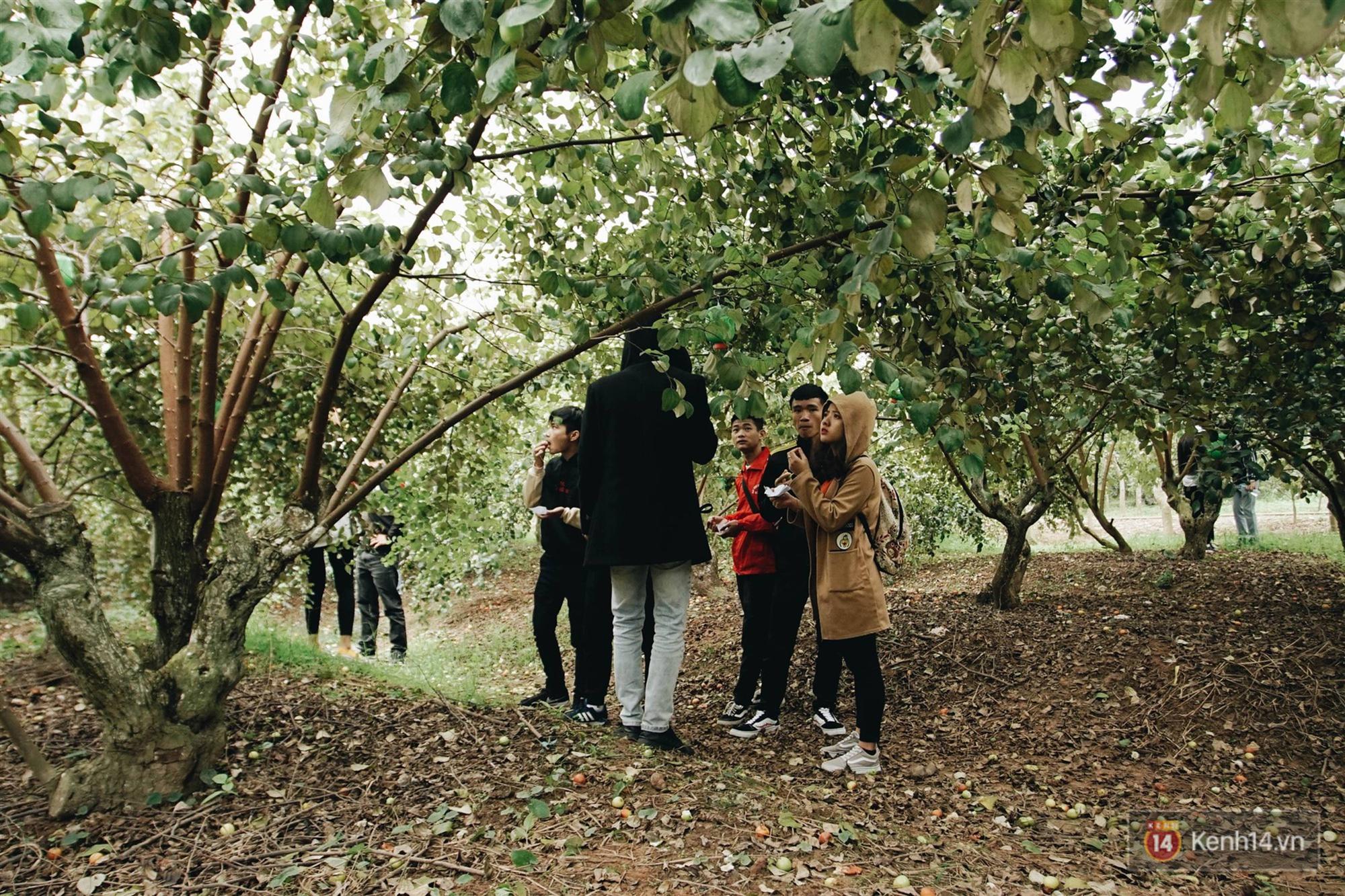 Trường ĐH duy nhất Việt Nam có vườn táo, vườn hoa cải được phép ăn tẹt ga, sống ảo cực chất chỉ với 15 nghìn-7