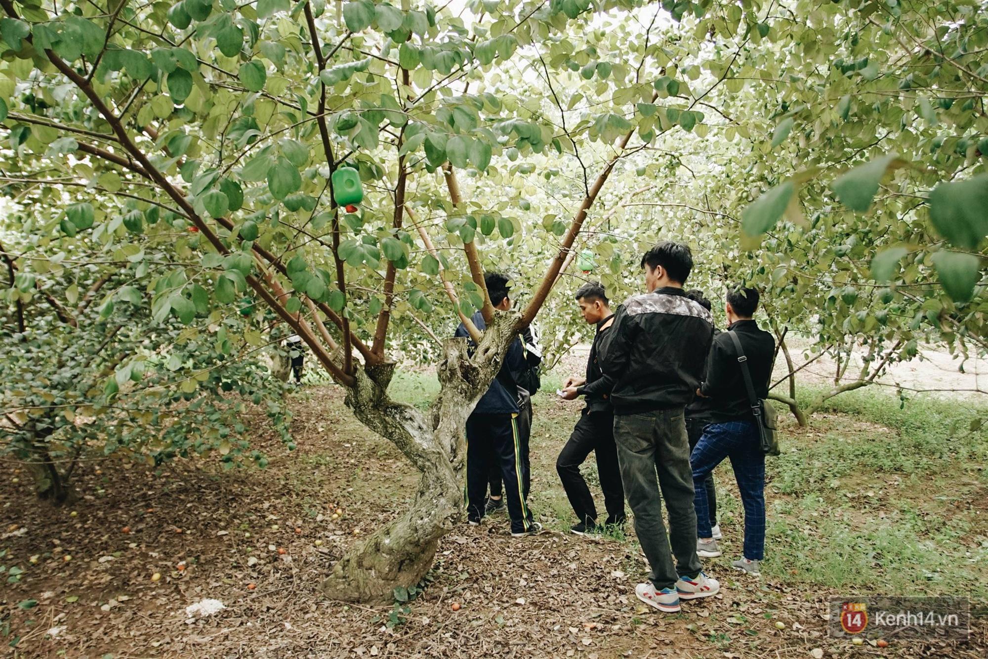 Trường ĐH duy nhất Việt Nam có vườn táo, vườn hoa cải được phép ăn tẹt ga, sống ảo cực chất chỉ với 15 nghìn-8