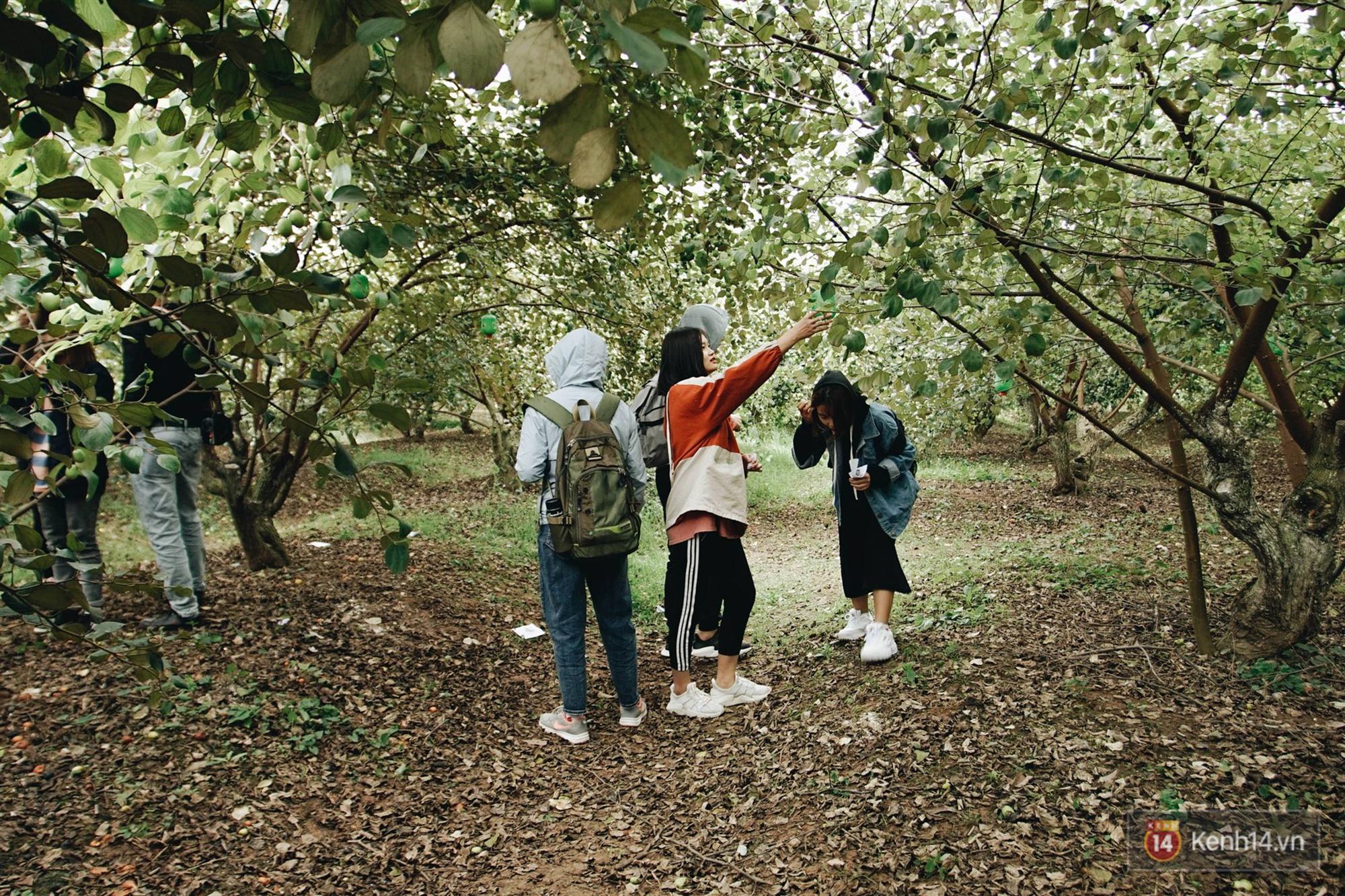 Trường ĐH duy nhất Việt Nam có vườn táo, vườn hoa cải được phép ăn tẹt ga, sống ảo cực chất chỉ với 15 nghìn-9