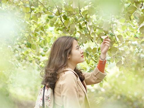 Xịn như Kinh tế Quốc dân: Dựng không gian checkin Noel sang như khách sạn bên trong toà nhà thế kỷ 96.000 m2 với 17 thang máy!-17