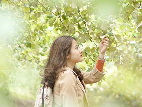 Trường ĐH duy nhất Việt Nam có vườn táo, vườn hoa cải được phép ăn tẹt ga, sống ảo cực chất chỉ với 15 nghìn