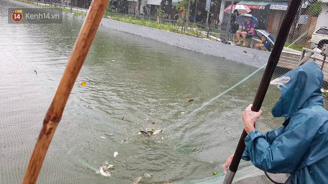 Hình ảnh chưa từng có ở Đà Nẵng: Xuồng bơi trên phố, người dân quăng lưới bắt cá giữa biển nước mênh mông-2