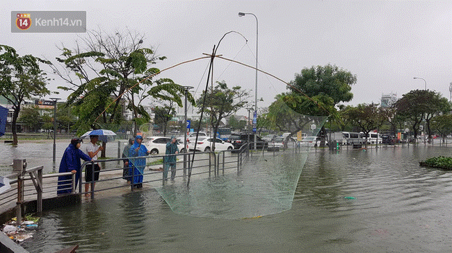 Hình ảnh chưa từng có ở Đà Nẵng: Xuồng bơi trên phố, người dân quăng lưới bắt cá giữa biển nước mênh mông-12