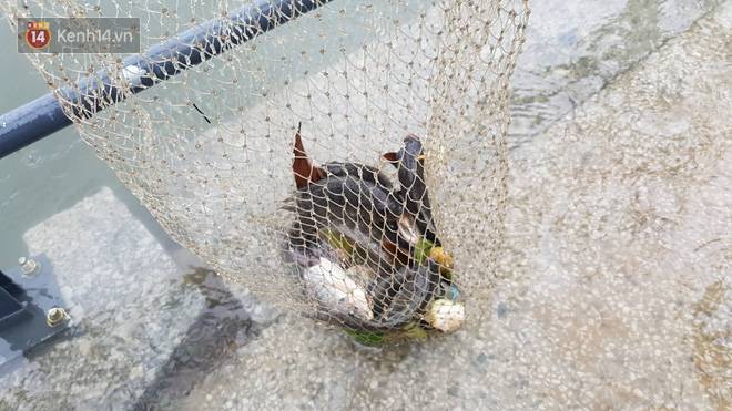 Hình ảnh chưa từng có ở Đà Nẵng: Xuồng bơi trên phố, người dân quăng lưới bắt cá giữa biển nước mênh mông-15