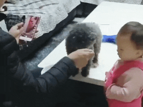 Cười nghiêng ngả với loạt tình huống