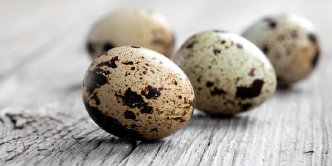 Trứng cút, trứng gà, trứng vịt - trứng nào bổ hơn: Hãy nghe câu trả lời của chuyên gia-1