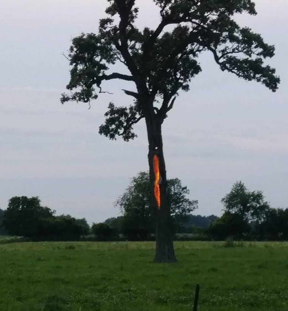 Những hình ảnh chưa hề có sự can thiệp của photoshop nhưng khiến bạn ngỡ ngàng, tưởng thế giới này đảo điên hết rồi-1