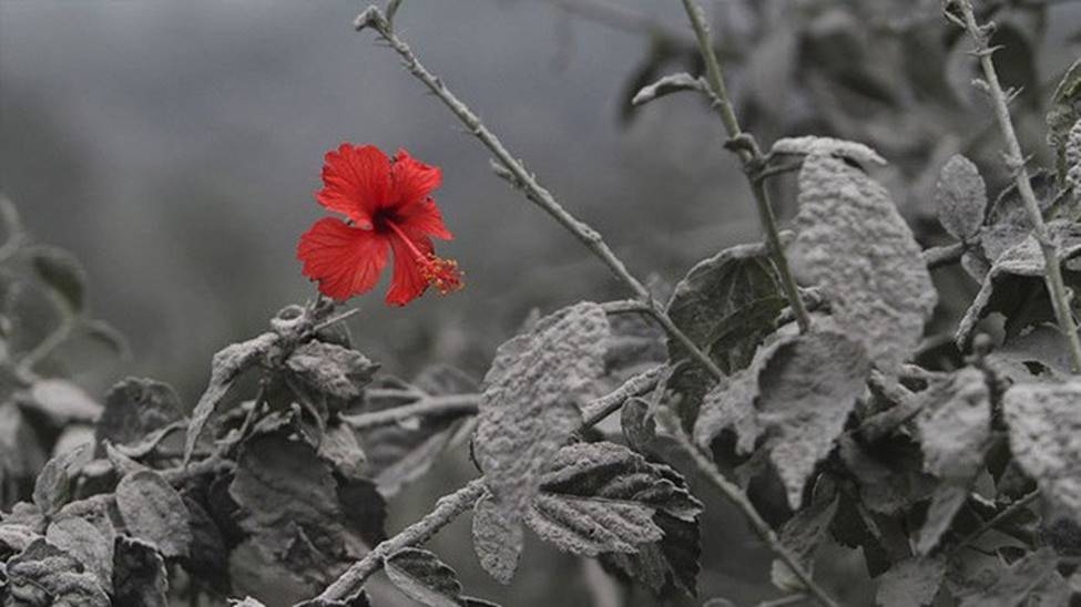 Những hình ảnh chưa hề có sự can thiệp của photoshop nhưng khiến bạn ngỡ ngàng, tưởng thế giới này đảo điên hết rồi-7