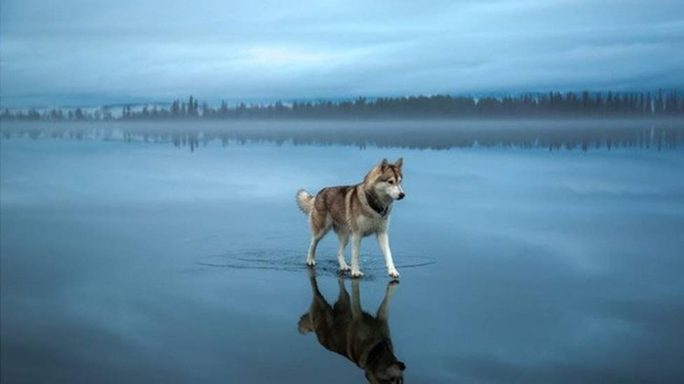 Những hình ảnh chưa hề có sự can thiệp của photoshop nhưng khiến bạn ngỡ ngàng, tưởng thế giới này đảo điên hết rồi-9