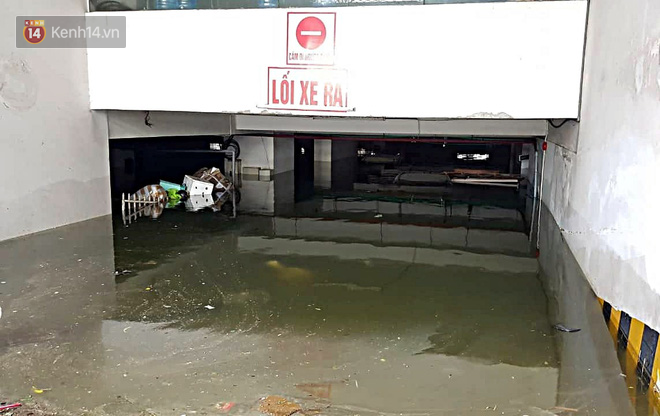 Máy bơm chạy hết công suất giải cứu BMW, Mercedes, Range Rover cùng nhiều ô tô, xe máy ngập nước trong hầm chung cư ở Đà Nẵng-1