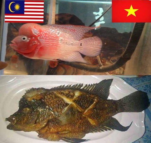 Ảnh chế các nhà tiên tri hài hước trước giờ bóng lăn trận chung kết lượt đi Việt Nam - Malaysia gây sốt-5