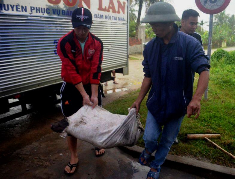 Gia đình cầu thủ Phan Văn Đức dựng rạp, mổ lợn thết đãi người hâm mộ đến xem trận chung kết AFF Cup 2018-2