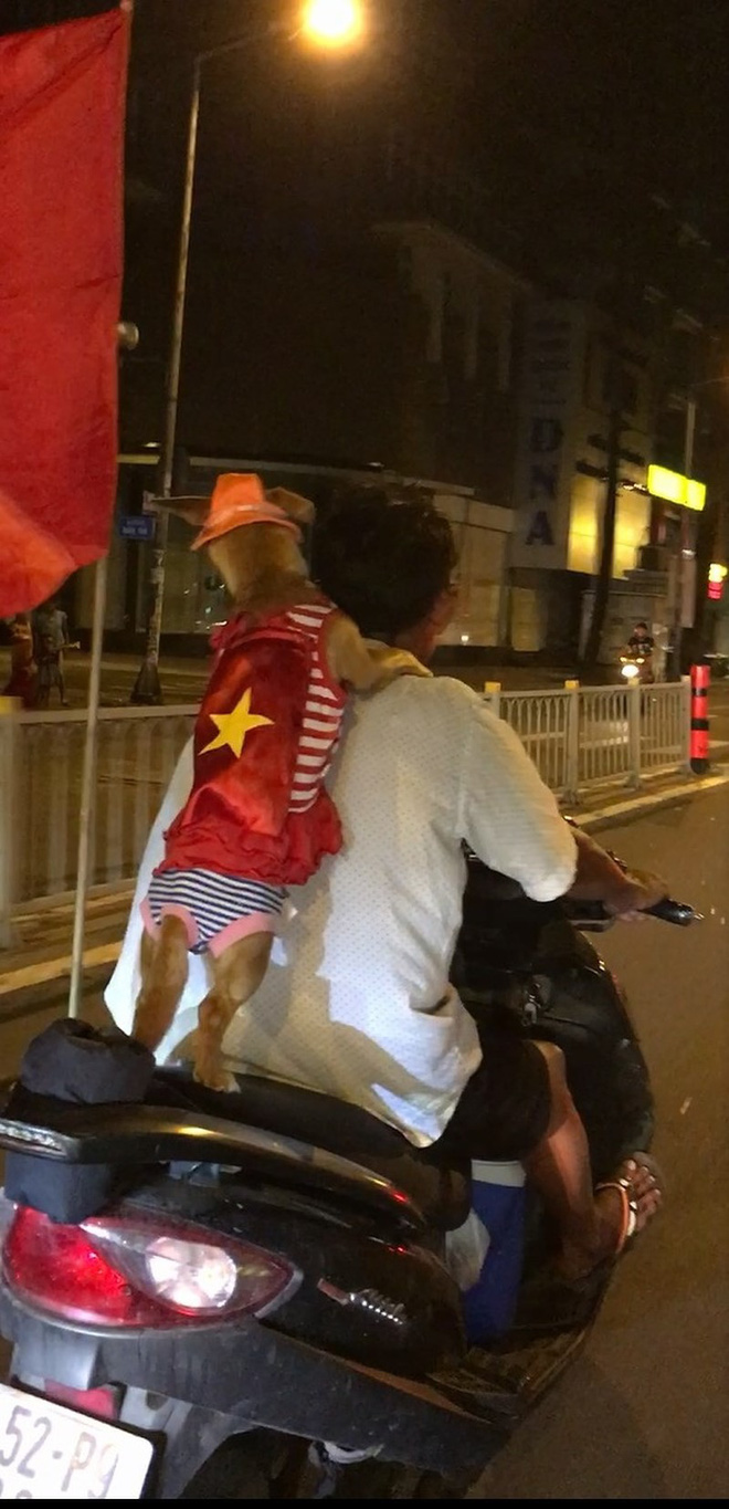 Cười té ghế xem hình ảnh hài hước đêm bão Việt Nam vô địch-5