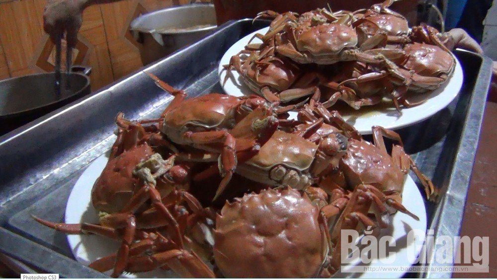 Kỳ lạ Bắc Giang: Loài cua 2 càng phủ da, mọc lông-2