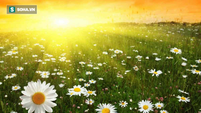 Người có tốt số hay không, cứ nhìn vào 5 đặc điểm dễ nhận biết này sẽ thấy ngay!-1