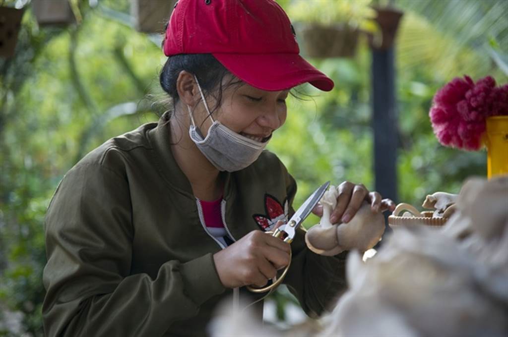 Đột nhập trang trại trồng nấm bào ngư lớn nhất huyện đảo Phú Quốc-9