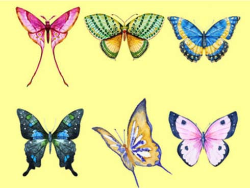 Chọn một con bướm thu hút mình nhất, đáp án sẽ giải mã nội tâm sâu thẳm trong bạn-1