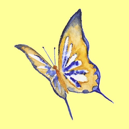 Chọn một con bướm thu hút mình nhất, đáp án sẽ giải mã nội tâm sâu thẳm trong bạn-6