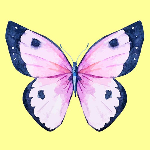 Chọn một con bướm thu hút mình nhất, đáp án sẽ giải mã nội tâm sâu thẳm trong bạn-7