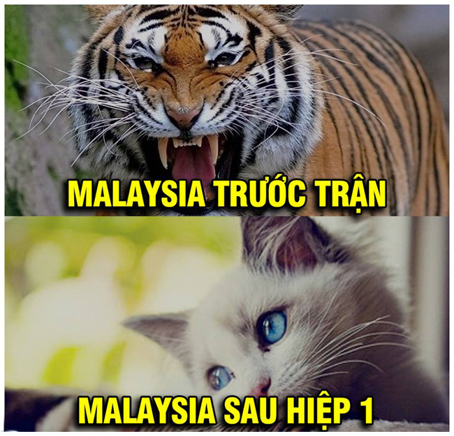 Mưa rơi ướt áo ướt quần/ Làm sao ướt được tinh thần Việt Nam-6