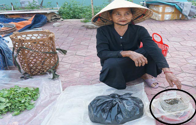 Săn đặc sản nòng nọc: Ngon, bổ hiếm có món nào bằng-7