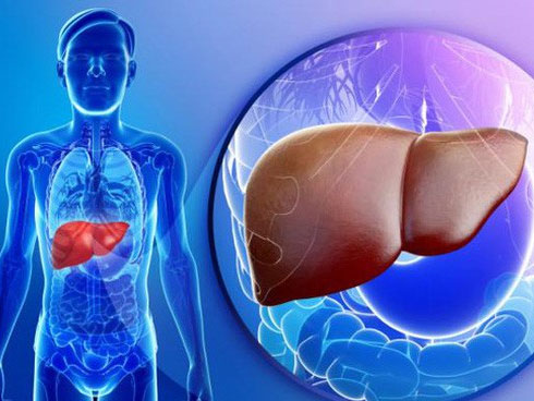 Cách này giúp loại bỏ chất độc ra khỏi gan, thận và bàng quang một cách tự nhiên để yên tâm đón Tết-8