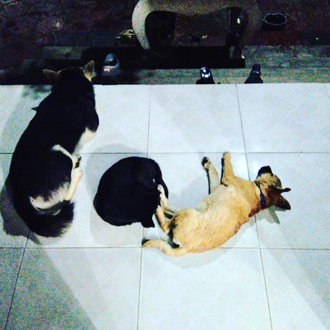 Vợ đi gội đầu để lại mảnh giấy nhắn dặn chồng tự nấu ăn, nhưng dòng cuối cùng mới là thứ gây cười-2