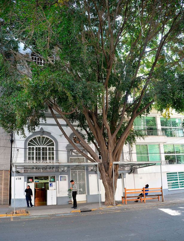 Con gái tử vong ở Mexico, mẹ già sốc nặng khi nhận về thi thể trống rỗng nội tạng, cũng chẳng có mắt và não-3