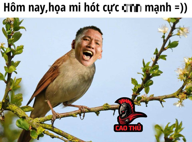 Ảnh chế họa mi Anh Đức, Lâm Tây sáng nhất trận chung kết-1