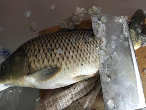 Bí quyết rán cá giòn tan, không bong da, bắn dầu nhờ bí kíp cực đơn giản này-5