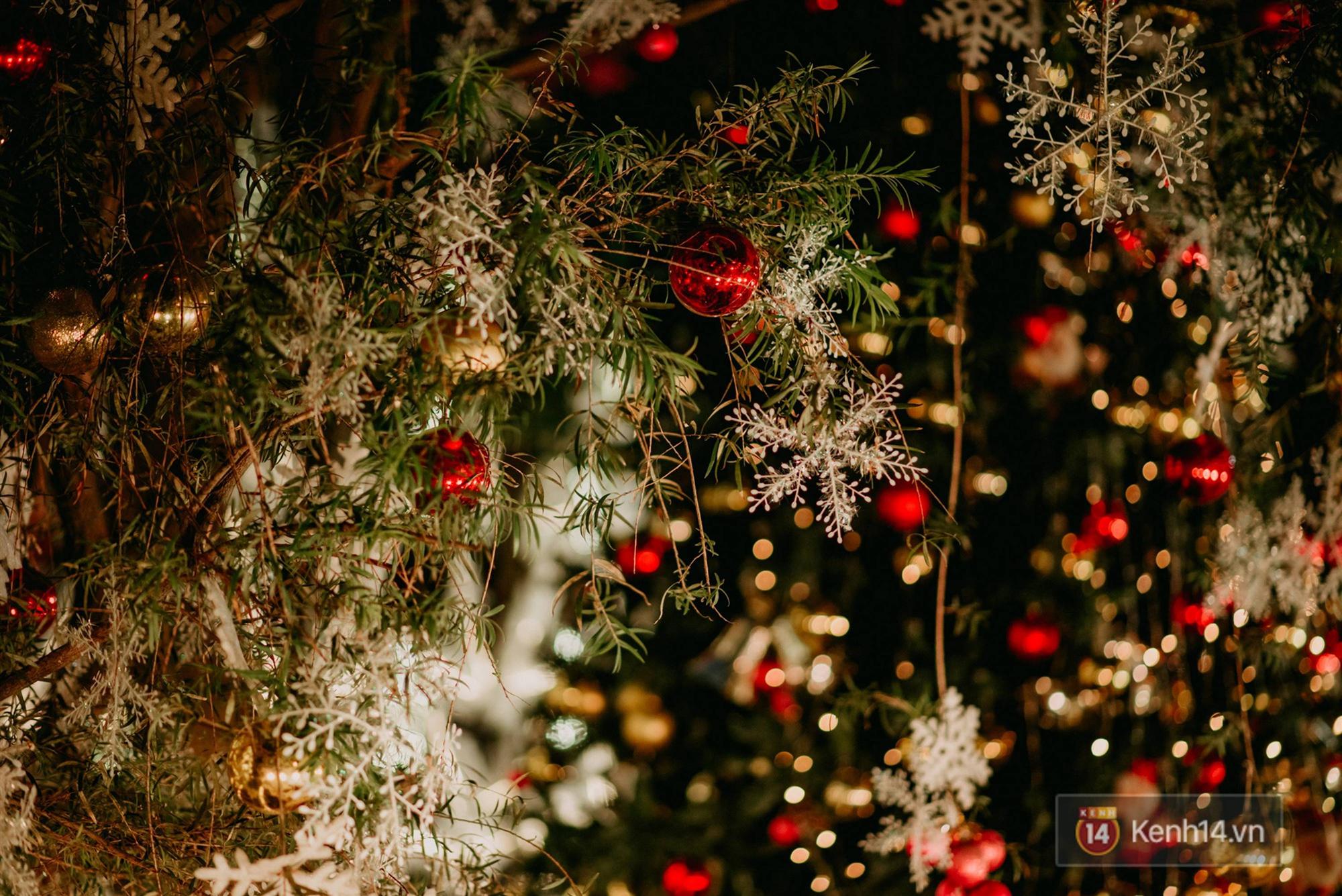 Trường ĐH con nhà giàu này là trường trang trí Noel đẹp nhất VN, có máy phun tuyết nhân tạo, tha hồ sống ảo-18