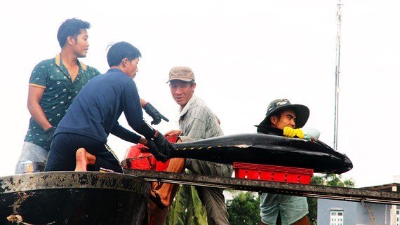 Vua săn cọp biển xây biệt phủ ở Bình Định-1