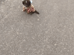 Cả thế giới ra mà xem, ở bên Tiến Dũng nhưng Đức Chinh lại quấn quýt không rời với tình mới-1