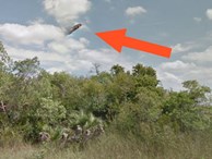 Sự thật về ảnh UFO hiện ra gần khu vực Tam giác Bermuda đang gây xôn xao cư dân mạng Mỹ