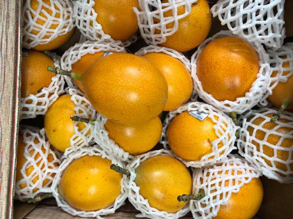 Kỳ lạ loại chanh leo có vị ngọt, giá hơn 100.000 đồng/quả-3