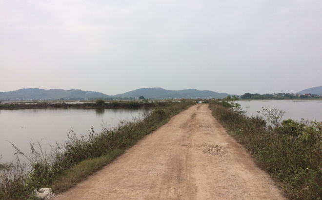 Vụ người phụ nữ đi mua cá nửa đêm bị sát hại ngoài đồng: Người đi cùng nhập viện cấp cứu-1