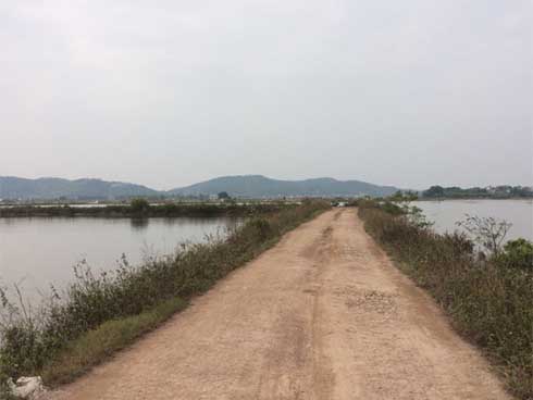 Bí ẩn xung quanh vụ việc người phụ nữ đi mua cá nửa đêm bị sát hại giữa cánh đồng-3