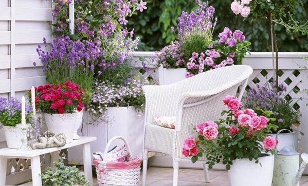 Lý do bất ngờ khiến chủ khách sạn ly hôn sau 30 năm chung sống-1