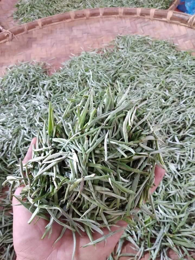 Loại trà chỉ có ở TQ, nay tìm thấy tại Việt Nam-6