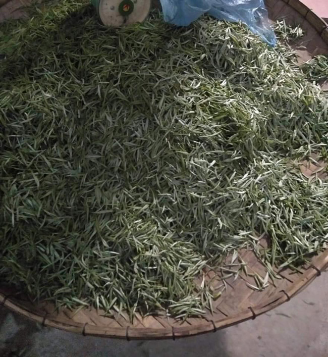 Loại trà chỉ có ở TQ, nay tìm thấy tại Việt Nam-16